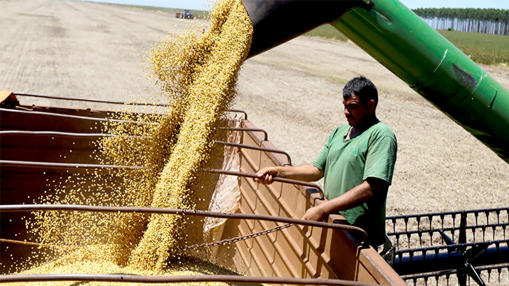 O volume de soja vendido à China tende a aumentar ao longo dos próximos anos, segundo analistas