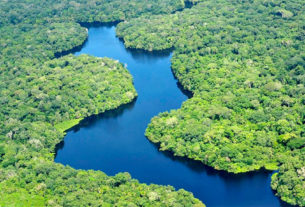 Nem mesmo os santuários ecológicos situados nas terras indígenas estão a salvo do desmatamento e da exploração comercial promovida pelo governo Bolsonaro