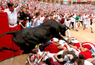 Os touros que participam da corrida com humanos, em homenagem a São Fermin, são abatidos após o evento