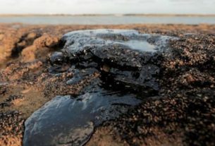 O derramamento do petróleo vem atingindo praias dos estados da Bahia e Pernambuco