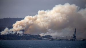 Primeiro-ministro australiano admite erros na gestão de incêndios