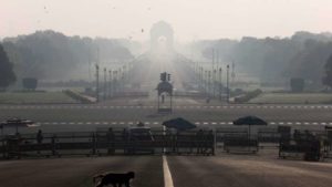 Macaco atravessa rua próxima ao palácio presidencial da Índia, em Nova Délhi, durante período de "lockdown"