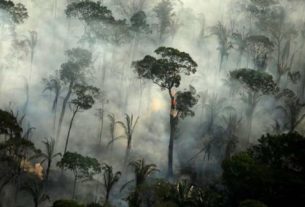 Junho teve o maior número de focos de queimadas na Amazônia dos últimos 13 anos