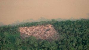 Vista aérea de área desmatada na floresta amazônica
