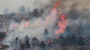 Aproximação das chamas causa medo nos moradores de Pettino