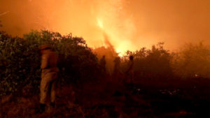 Os focos de incêndio, no Pantanal, se espalham por centenas de quilômetros