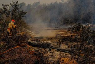 A Polícia Federal (PF) e órgãos de Mato Grosso e Mato Grosso do Sul estão investigando as origens dos incêndios