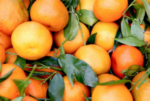A produção de laranjas, esse ano, ficou prejudicada por conta das mudanças no clima do Brasil