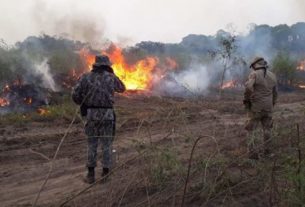 Pantanal tem o pior outubro da história em focos de incêndio a 3 dias do fim do mês
